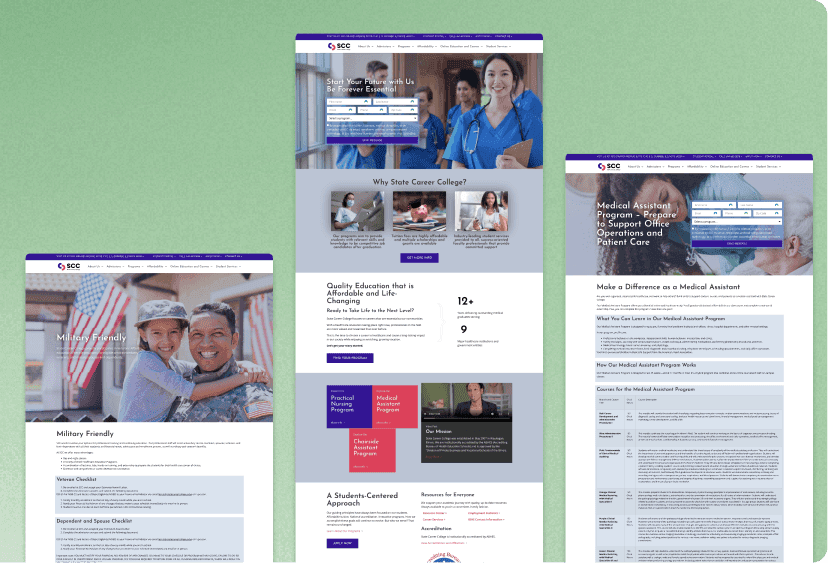 State Career College project